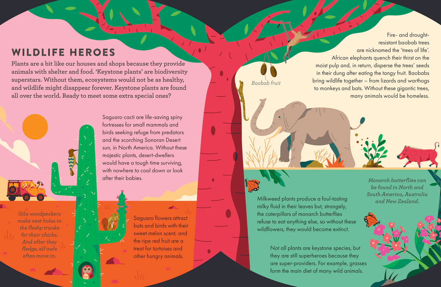 Little Experts - Superhero Plants - Image 3