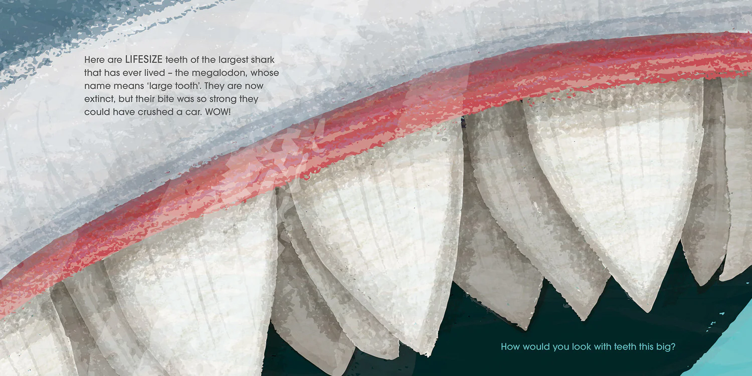 Lifesize Ocean Animals - Image 4
