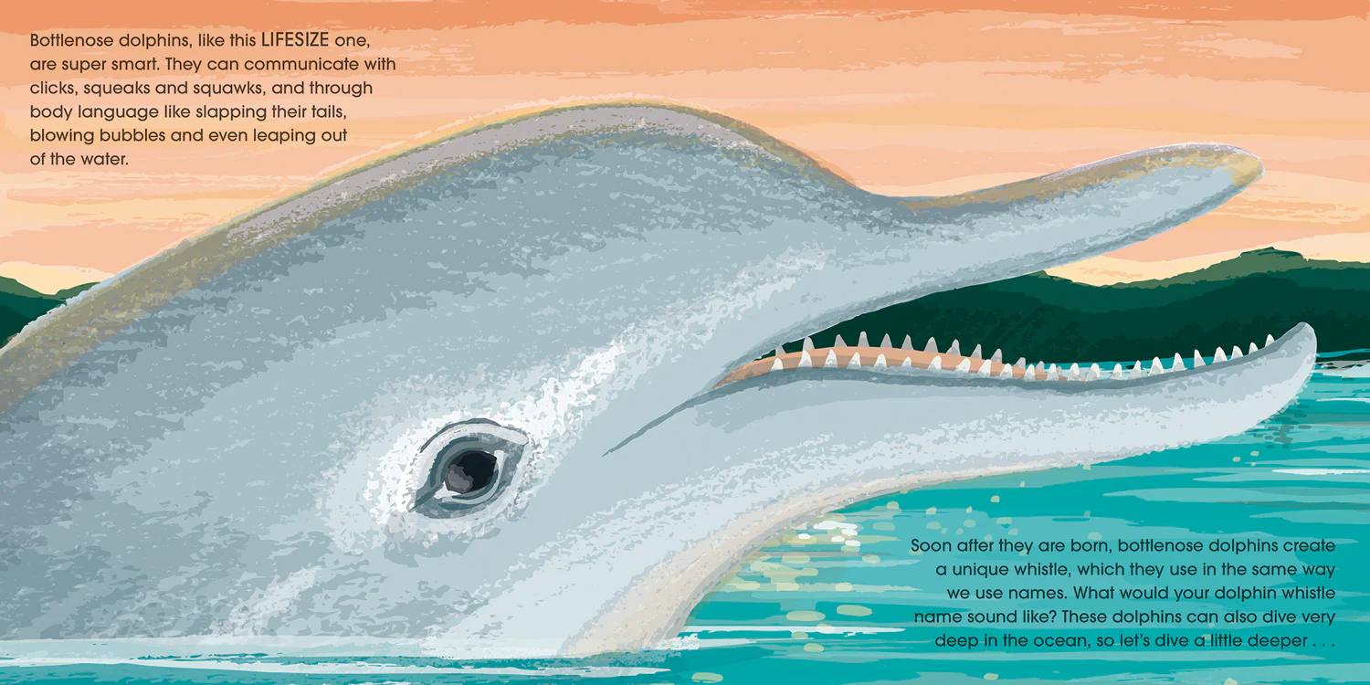 Lifesize Ocean Animals - Image 5