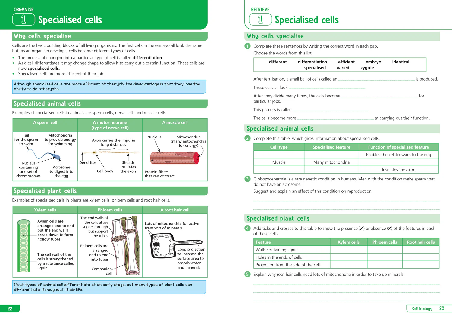Collins GCSE Grade 9-1 Revision - AQA GCSE 9-1 Combined Science Trilogy Higher Organise and Retrieve Your Knowledge: Ideal for the 2026 and 2027 exams - Image 4