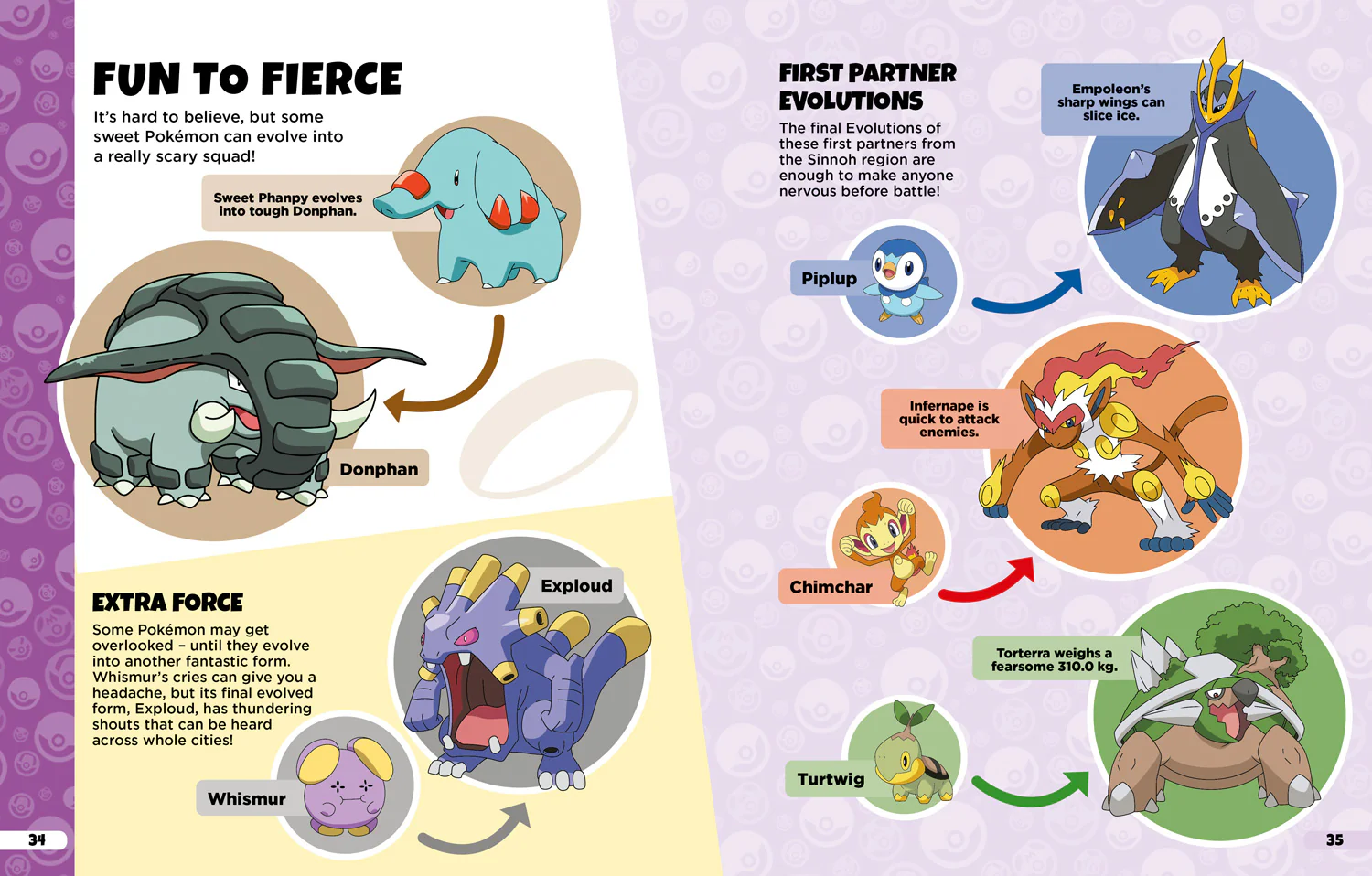 Pokémon: Evolutions Guide - Image 3