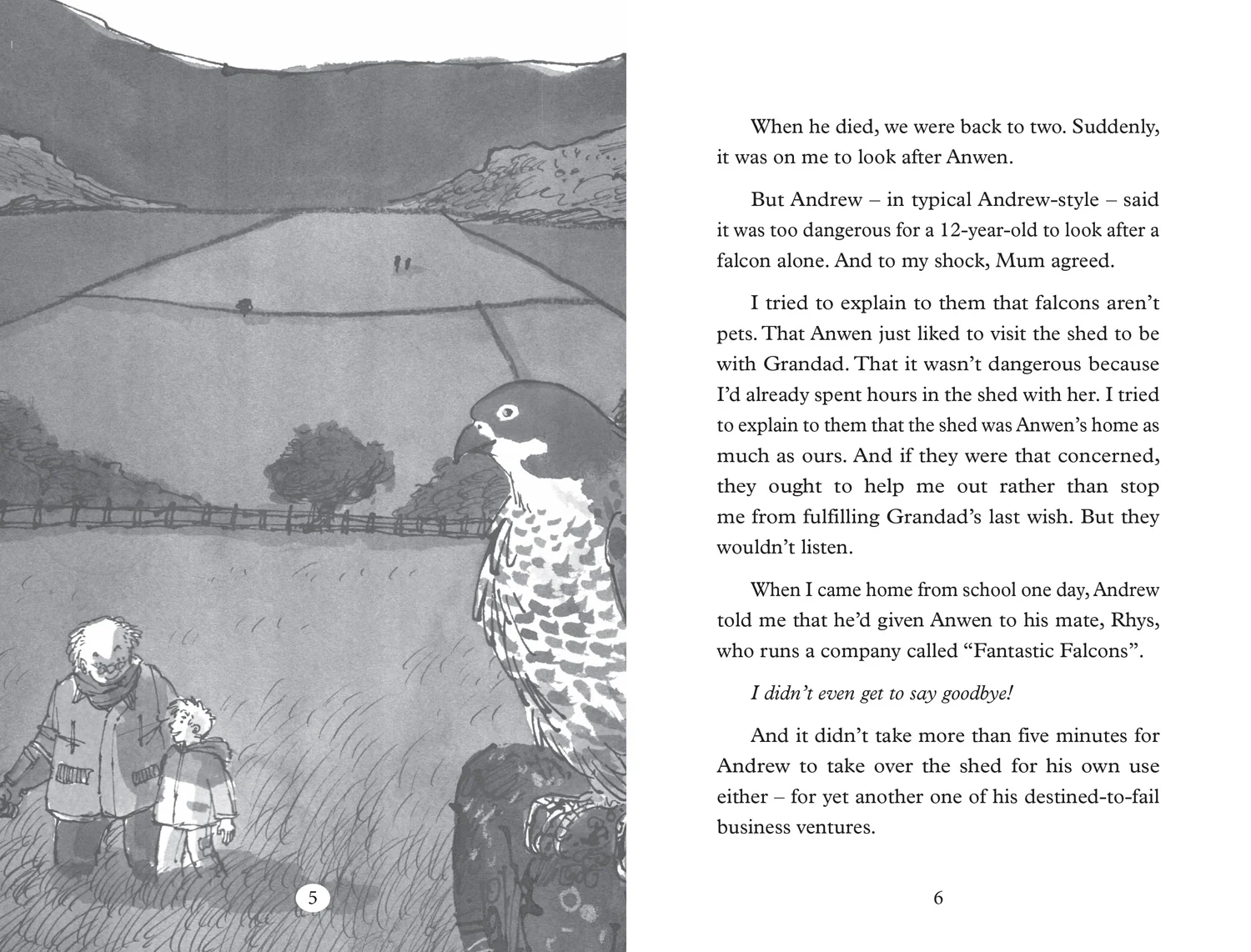 Big Cat Read On - Saving Anwen - Image 4