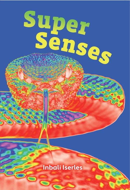 Big Cat for Little Wandle Fluency - Super Senses: Fluency 5