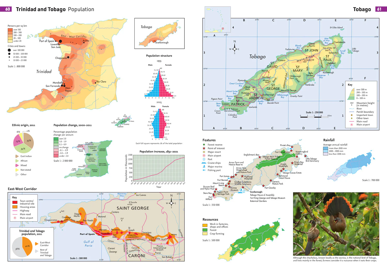 Collins Primary Atlas for Guyana: (First edition) - Image 5