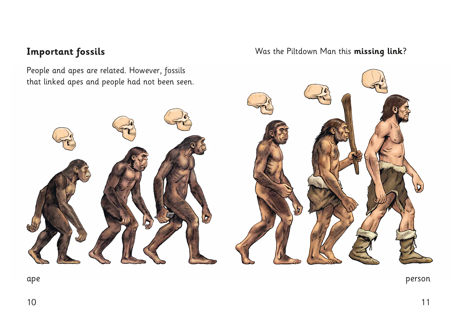 Fully Booked - The Case of the Piltdown Man - Image 2